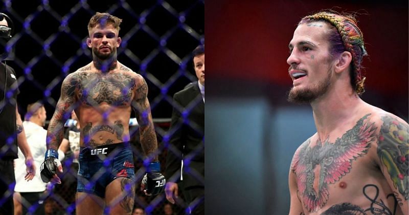 Cody Garbrandt (left) &amp; Sean O&#039;Malley (right) [Image Credits- MMA Fighting]