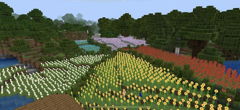Flower field (Image via u/waspycraft on Reddit)