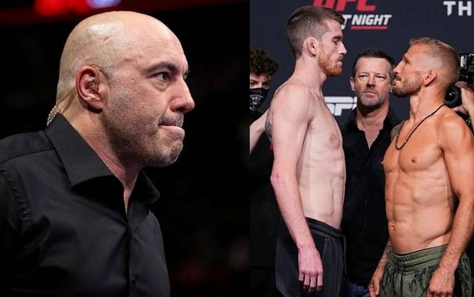"So close" - Joe Rogan gives his thoughts on T.J. Dillashaw's victory over Cory Sandhagen at UFC Vegas 32