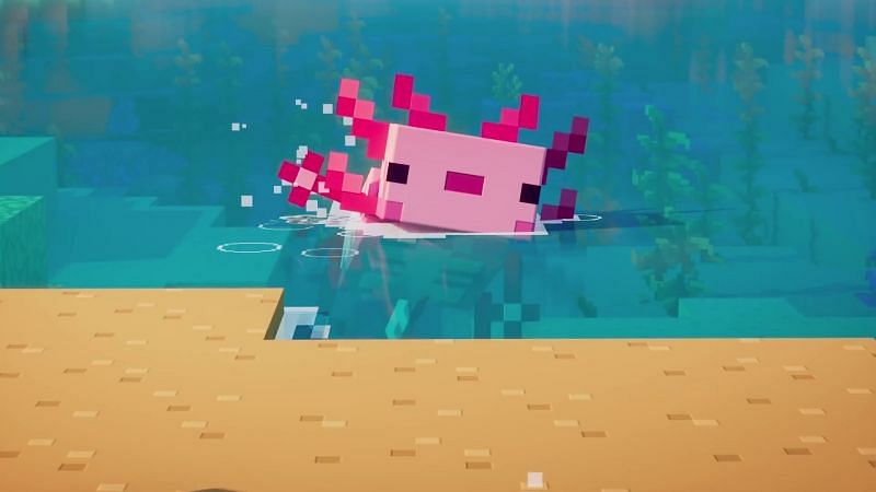An Axolotl shown in the Caves &amp; Cliffs update part 1 trailer (Image via Mojang)