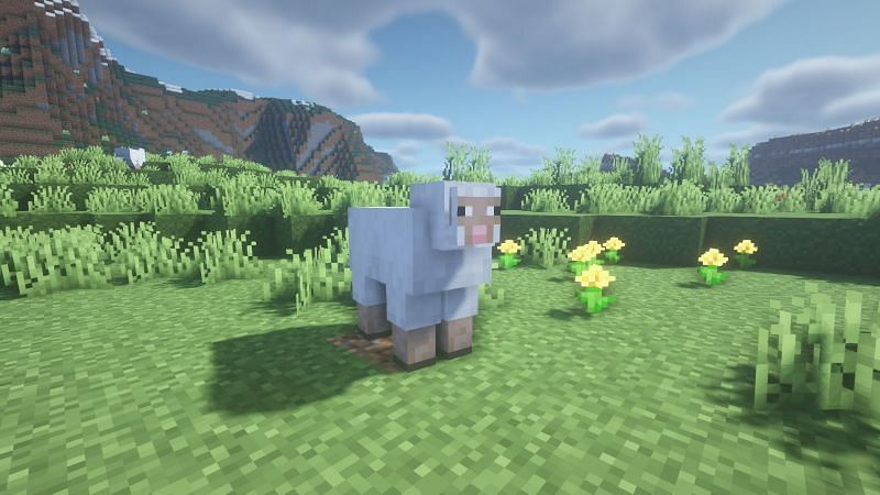 Sheeps can provide wool to the player (Image via Minecraft)