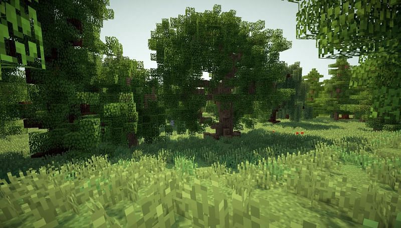 Some pretty Minecraft trees (Image via Pinterest)