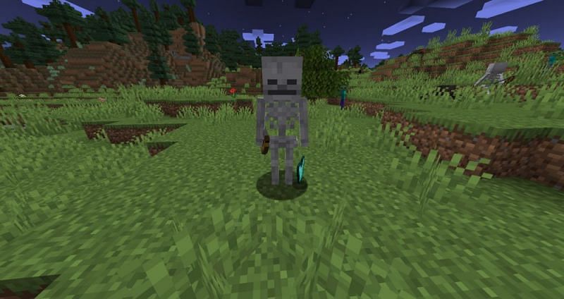 Every Type Of Skeleton Mob In Minecraft Ranked 3587