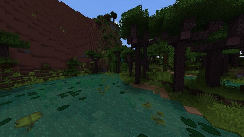 A rainforest biome (Image via CurseForge)