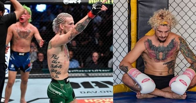Sean O'Malley reveals when he's targeting a return to the octagon
