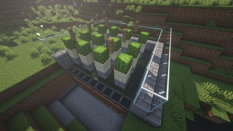 A bone meal farm that uses cactus and composters (Image via Minecraft)