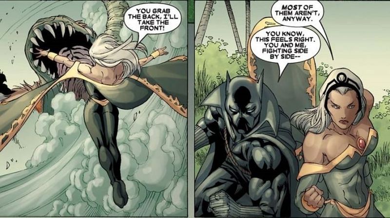 Black Panther and Storm in &quot;Black Panther (2005) #8.&quot; (Image via: Marvel Comics)