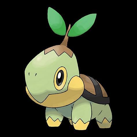 Turtwig, Wiki Pokémon Brasil