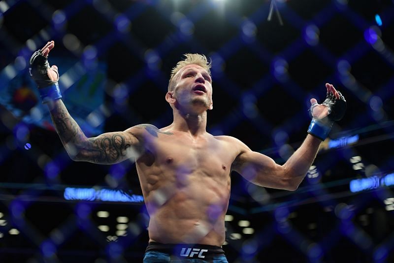 T.J. Dillashaw MMA Stats, Pictures, News, Videos 