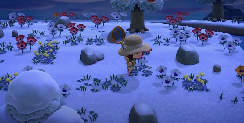 Arachnid mystery island in Animal Crossing: New Horizons (Image via Koramora)