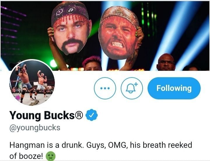 Screengrab of The Young Bucks' Twitter bio