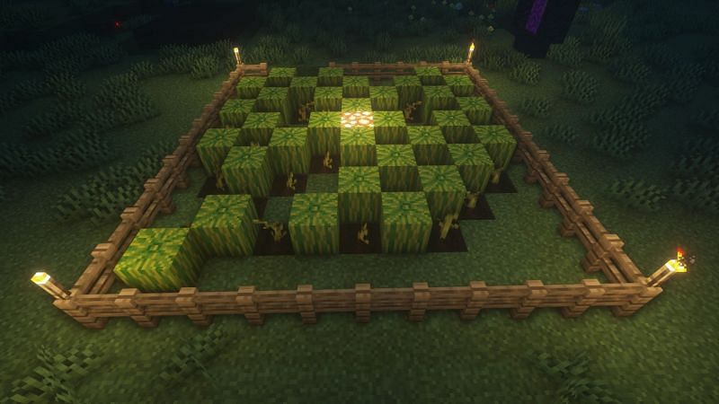 Melon stem grown on farmland in the game (Image via Minecraft)