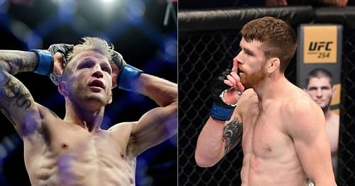 TJ Dillashaw (left) and Cory Sandhagen (right)