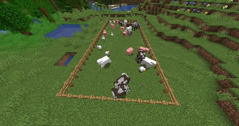 Animal mobs (Image via Minecraft Wiki)