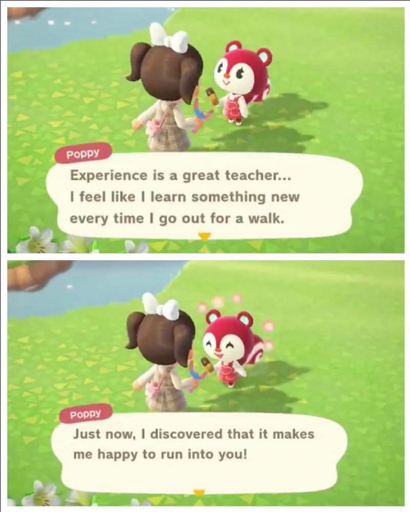 Poppy being kind to an Animal Crossing player (Image via Reddit)