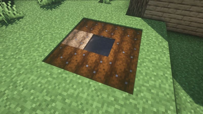 A source of water is required to grow crops on a farmland (Image via Minecraft)