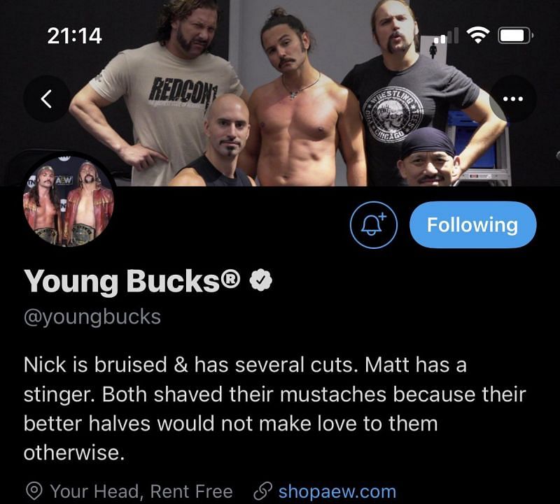 Young Bucks' new bio