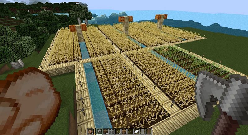 A wheat farm on Minecraft