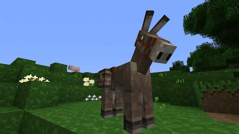 Donkey (Image via Minecraft)
