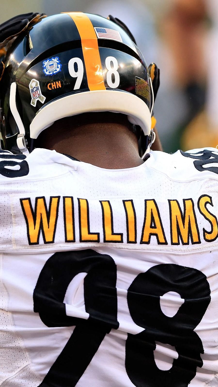 Retired Steelers LB Vince Williams: 'Next 98 Better Be a Dog' - Steelers Now