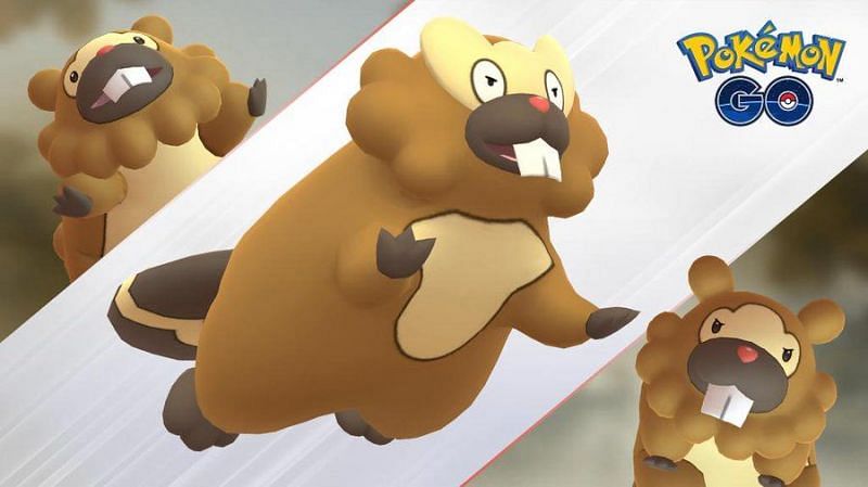 Shiny Bidoof and shiny Bibarel will be making their debut in Pokemon GO in the ongoing Bidoof Breakout event (Image via Niantic)