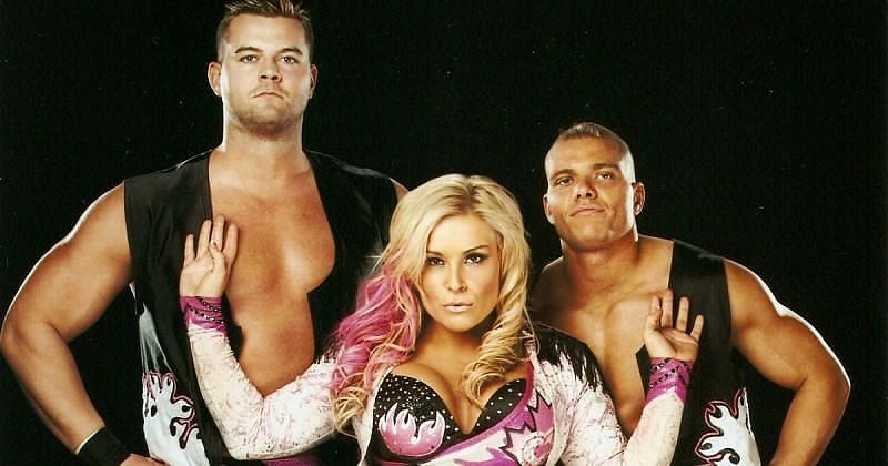 The Hart Dynasty in WWE