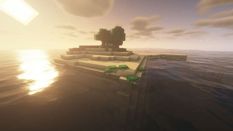Turtles are rare mobs and can only be found in the beach biome (Image via Minecraft)
