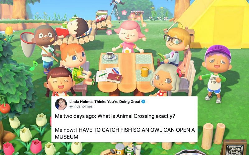 Animal Crossing: New Horizons summed up, basically (Image via AWOL - Junkee)
