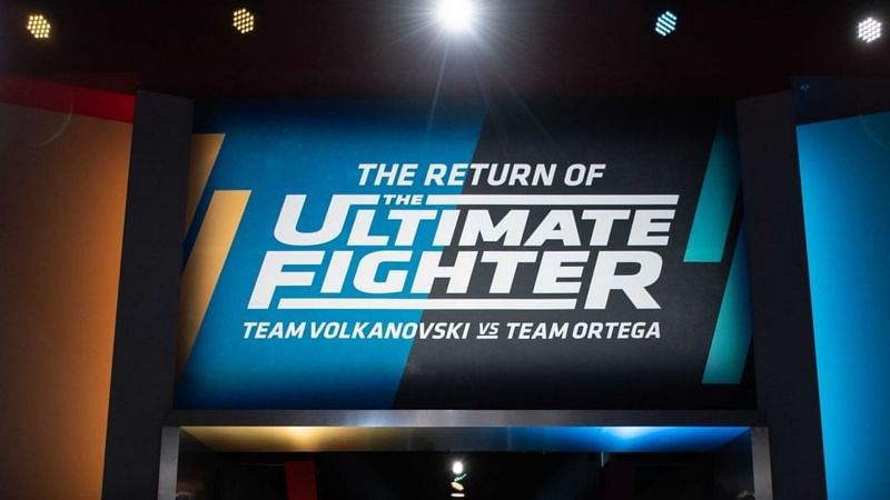 The Return of The Ultimate Fighter®: Team Volkanovski vs. Team