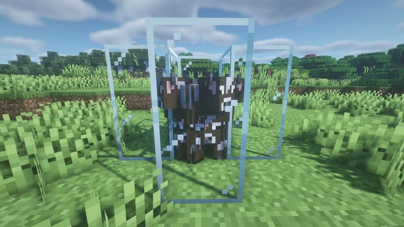 Cows trapped on a single block in the game (Image via Minecraft)