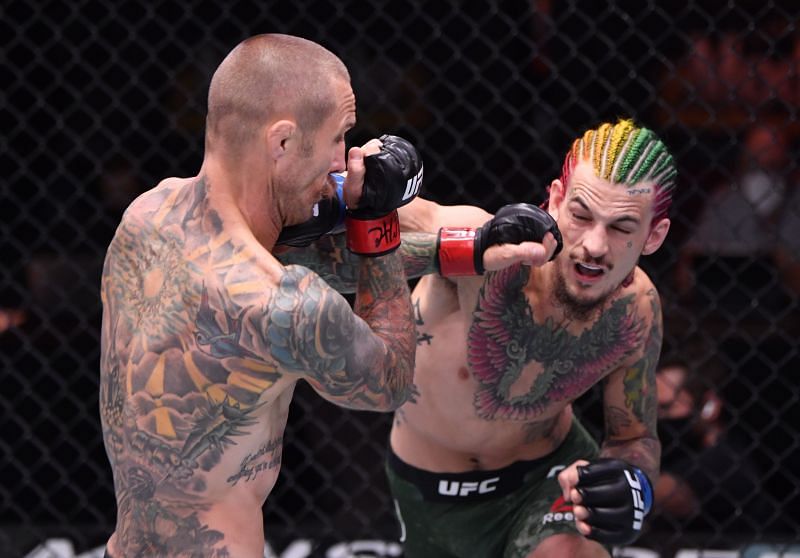 Sean O&#039;Malley will be hoping to pick up another highlight reel knockout when he faces newcomer Kris Moutinho at UFC 264