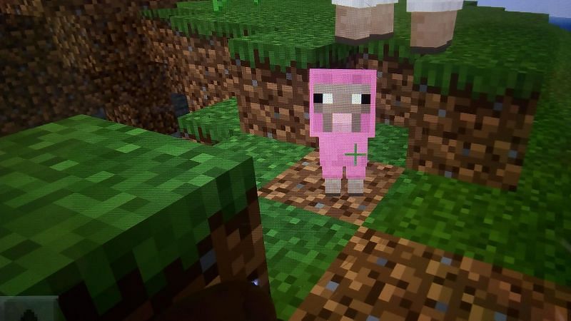 Pink sheep from minecraft