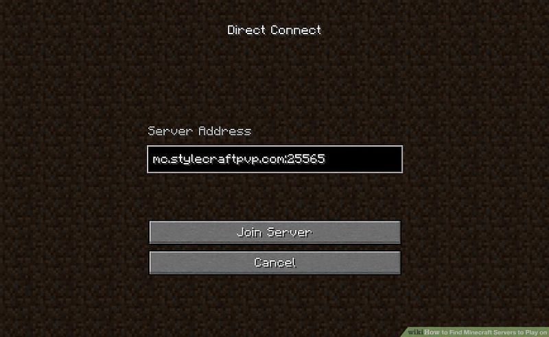 Minecraft Server (Image via Minecraft wiki-how)
