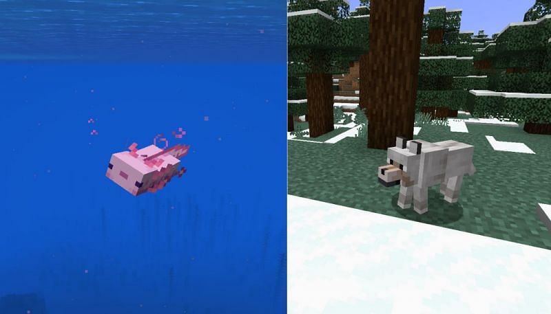 How different are these two lovable mobs? (Image via Minecraft)
