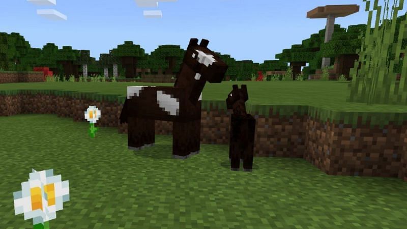 A horse and it&#039;s baby (Image via Minecraft wiki)