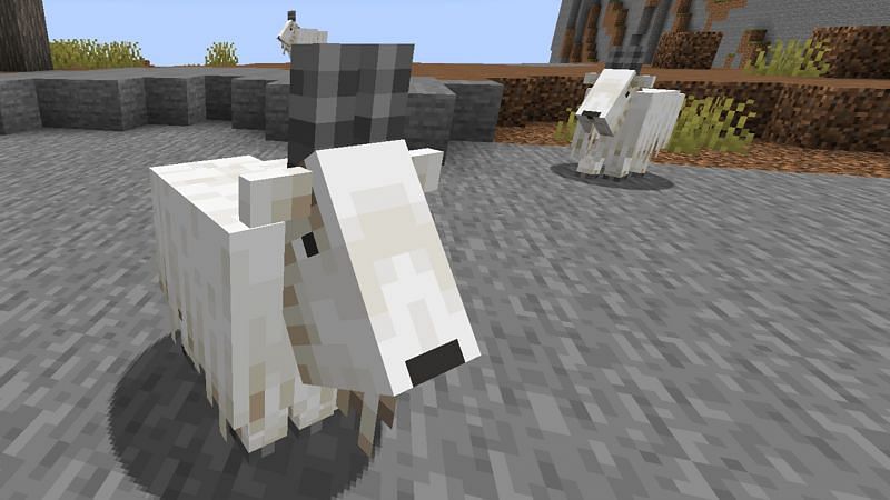 Minecraft goats. Image via Rock Paper Shotgun