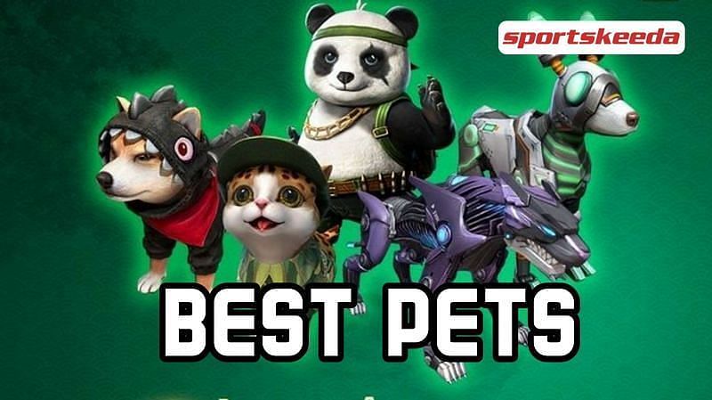 Free Fire has a great selection of pets that players can choose from