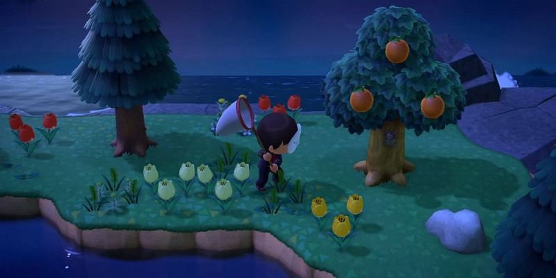 Player catching a scarab beetle in Animal Crossing: New Horizons (Image via Screenrant)