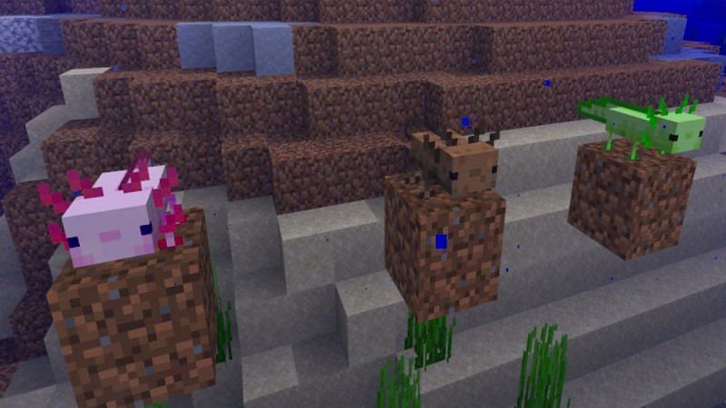 How to get blue axolotl with command block