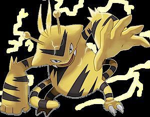Electabuzz Appearance
