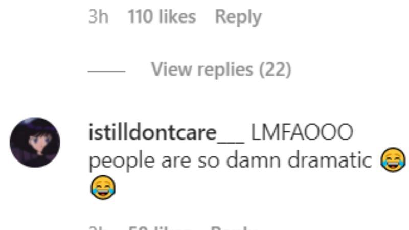 screenshot from Instagram comments (9/10)
