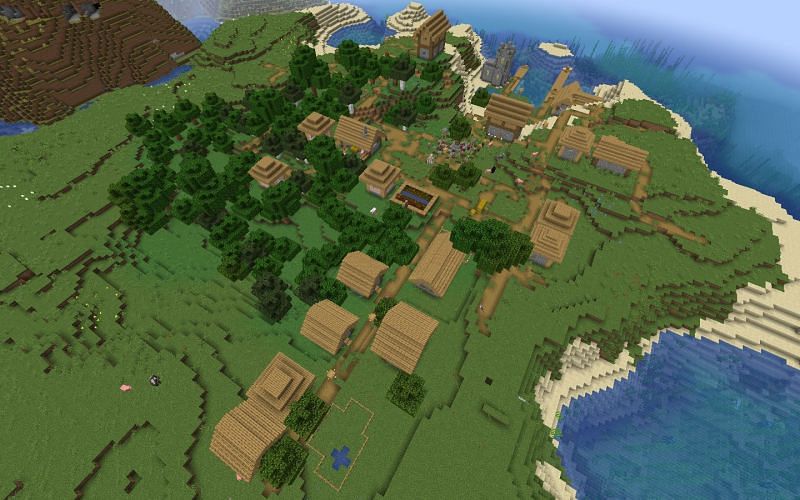 A naturally large village (Image via Minecraft)