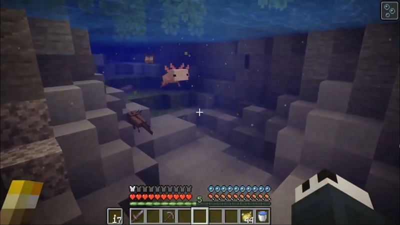 Cute axolotls in the game (Image via Minecraft)