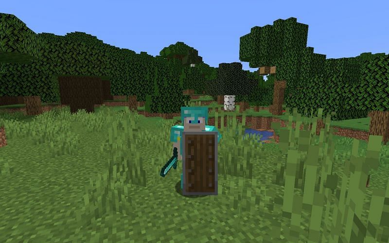 Image via Minecraft