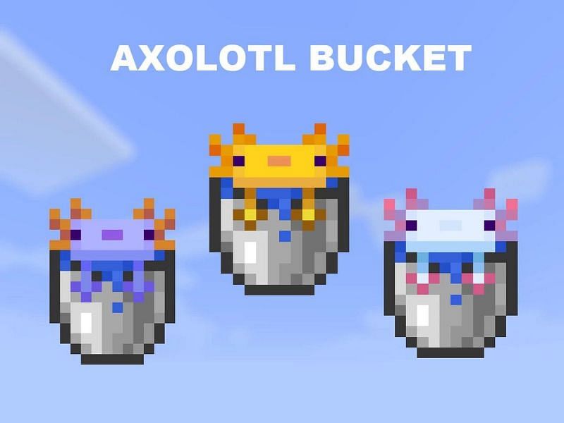 Axolotl buckets (Image via PlanetMinecraft)