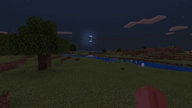 Night Cycle (Image via Minecraft)