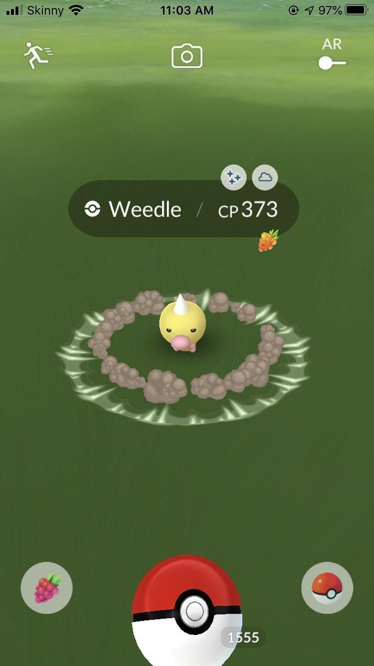 Weedle in Pokemon Go