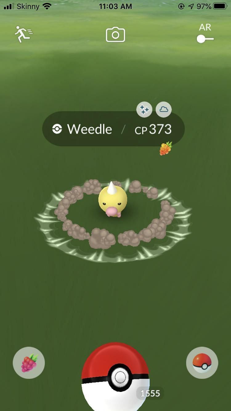 Weedle Pok Mon How To Catch Moves Pokedex More