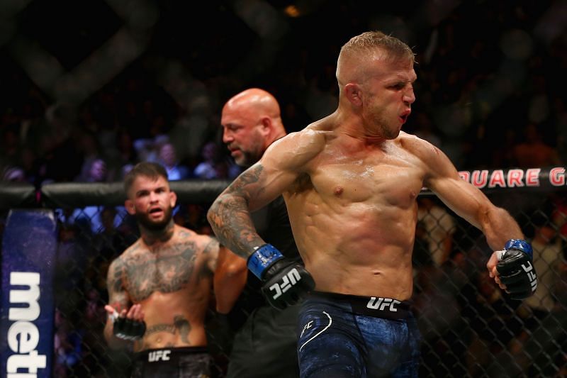 T.J. Dillashaw is excellent in all areas of fighting. 