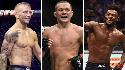 Can T.J. Dillashaw reclaim the UFC bantamweight title?